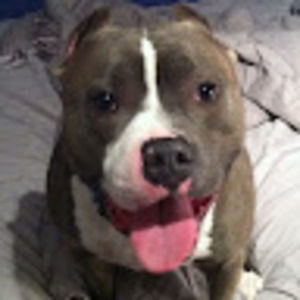 Meet your Posher, Madelis